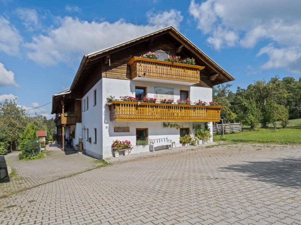 Flat On A Farm Near The Arber Ski Area Neukirchen beim Heiligen Blut Exterior photo